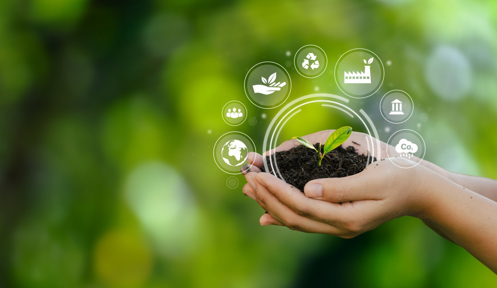Hands holding an eco light bulb with leaves